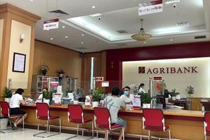 Agribank giảm lãi vay hỗ trợ khách hàng trong đại dịch, kịp thời và thực chất