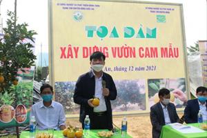 Nghệ An tổ chức tọa đàm “Xây dựng vườn cam mẫu ”