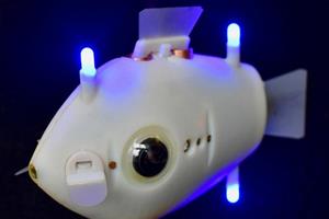 Cá robot: Phương tiện mới cho hoạt động cứu hộ trên biển