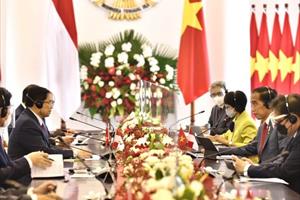 Thủ tướng hội đàm với Tổng thống Indonesia