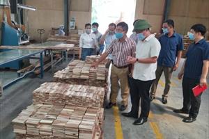 Tuyên Quang: Giá trị sản xuất công nghiệp 6 tháng ước đạt 8.354 tỷ đồng