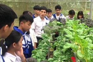 Nhân rộng mô hình nông nghiệp công nghệ cao trong nhà trường