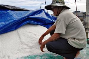 Giá muối ở Quảng Ngãi tăng kỷ lục sau nhiều năm “chạm đáy”