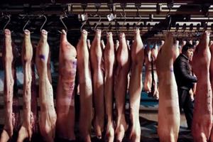 Giá thịt lợn tăng chóng mặt, Trung Quốc sẵn sàng xả kho dữ trữ chiến lược