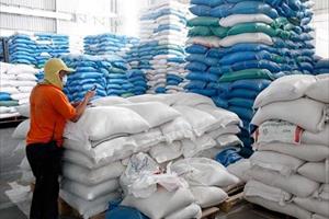 Xuất khẩu gạo của Campuchia giảm hơn 32% trong tháng 1/2021