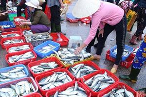 Ngư dân miền Trung phấn đấu khai thác tốt vụ cá Bắc, đảm bảo an toàn thực phẩm biển