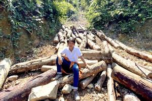 Trong một năm, Quảng Nam giảm 2.850ha rừng tự nhiên