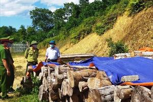 Thanh Hóa: Bắt Chủ tịch MTTQ xã về tội chặt, phá rừng trái phép