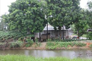 Tham nhũng đất đai tại xã Thụy Lâm (Hà Nội) -  Bài 2: Những thủ đoạn “ăn đất”   