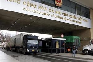 Xuất khẩu 287 tấn nông sản qua cửa khẩu Lào Cai trong 3 ngày đầu năm