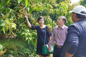 Hội Làm vườn đề xuất kết nối 10 lĩnh vực giúp nông nghiệp Trà Vinh phát triển bền vững