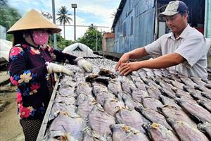 OCOP nâng chất nhãn hiệu  “Cá khô bổi U Minh”