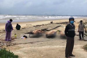Thi thể 3 ngư dân Quảng Ngãi trôi dạt vào bờ biển Quảng Nam
