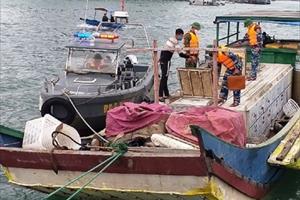 Quảng Ninh bắt giữ bè mảng chở 2,3 tấn cá tầm không rõ nguồn gốc