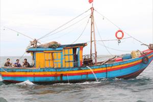Phản hồi bài viết “Ngư dân bãi ngang Nghệ An khốn đốn trước vấn nạn tàu giã cào”