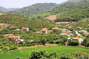 Niềm vui “về đích” NTM ở xã miền núi Tân Quang