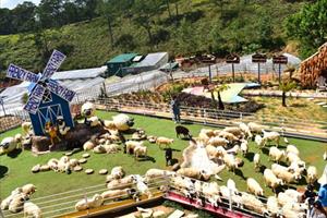 Frenzy Farm tạo điểm nhấn mới: Đàn cừu “2 trong 1”