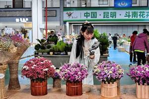 Xu hướng bán hoa, quả qua livestream tại Trung Quốc