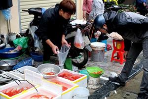 Tin NN ĐBSH: Thị trường Tết ông Công, ông Táo - cá chép đỏ, rau quả “đắt khách”