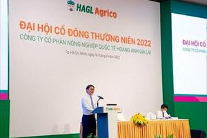 Thaco tiếp tục rót tiền để xây sân bay NongKhang tại Lào