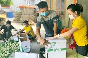 Ứng dụng kinh tế số ở Lạng Sơn: Không gian mới cho đầu ra nông sản