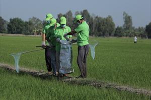 Hơn 14.000 nông dân tham gia chiến dịch “Môi trường sạch – Cuộc sống xanh”
