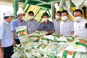 Nông nghiệp tỉnh Thừa Thiên - Huế có tăng trưởng nhưng dễ bị tổn thương