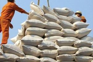 Việt Nam có hơn 200 thương nhân đủ điều kiện kinh doanh xuất khẩu gạo