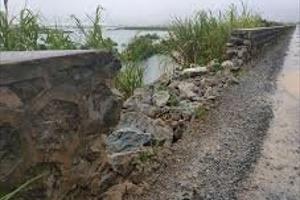 Quảng Ninh: Đê chắn sóng nứt, vỡ nhiều đoạn, nguy cơ ngập lụt trong mùa mưa bão