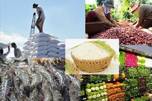 Điều kiện các DN cần biết khi xuất khẩu nông sản sang Trung Quốc