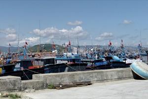 Quảng Ngãi: Cảnh báo nạn trộm cắp trên tàu thuyền