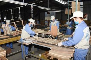 Những bước đi để sản xuất, xuất khẩu gỗ của Việt Nam chiếm lĩnh thị trường