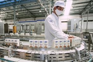 Vinamilk ký hợp đồng xuất khẩu sữa trị giá 1,2 triệu USD sang Hàn Quốc