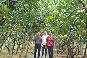 Tạo chính sách đột phá, sản xuất nông nghiệp hàng hoá ở Tuyên Quang bứt phá