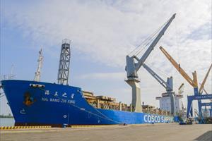 Cảng Chu Lai lần đầu hợp tác xuất khẩu với doanh nghiệp nước ngoàii