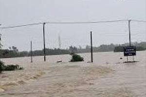 Quảng Nam: Chủ động ứng phó với bão số 10