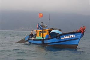TT- Huế: Bắt giữ tàu giã cào khai thác tận diệt hải sản