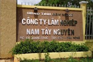 Đắk Nông: Doanh nghiệp nhà nước bị dân tố “có nợ không trả”