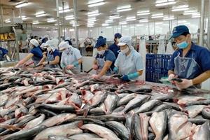 Xuất khẩu cá tra quý II có thể tăng 50%