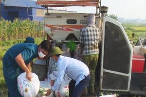 Hà Nam: Gặt lúa giúp dân vùng cách ly