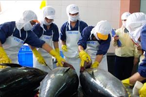 Xuất khẩu cá ngừ thắng lớn trong quý I/2022
