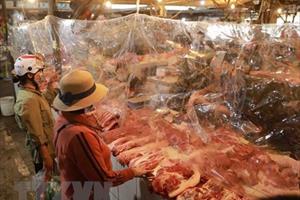Giá thịt lợn hơi có xu hướng tăng trong dịp cận Tết Nguyên đán