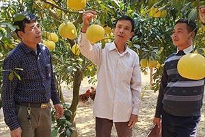 Hội nghị BCH Hội Làm vườn Việt Nam lần thứ 2, khoá VII: Đổi mới để phù hợp