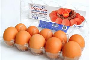 Hòa Phát cung cấp gần 550.000 quả trứng gà sạch mỗi ngày