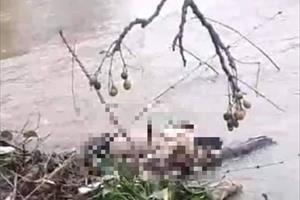 TT - Huế: Phát hiện thi thể nam thanh niên bên bờ sông Lợi Nông