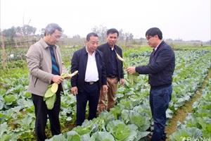 Miền Trung chú trọng sản xuất nông nghiệp trong điều kiện dịch bệnh và thiên tai