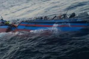 Va chạm giữa tàu hàng và tàu cá, 12 ngư dân bị rơi xuống biển