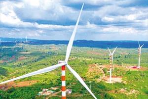 Phát triển điện gió ở Tây Nguyên: Cần hài hòa lợi ích giữa người dân và doanh nghiệp