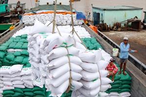 Xuất khẩu gạo vào ASEAN cần nắm bắt ngay những lợi thế