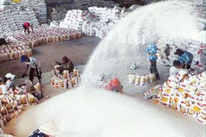 Siết quản lý nhập khẩu, tránh tình trạng gian lận xuất xứ gây tổn hại ngành xuất khẩu gạo